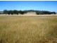 Gum Flat NSW 2360