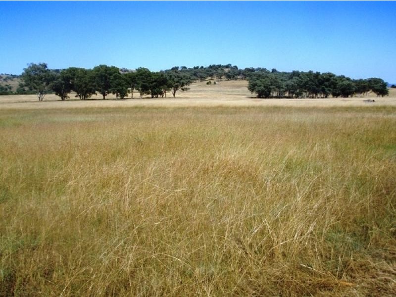 Gum Flat NSW 2360