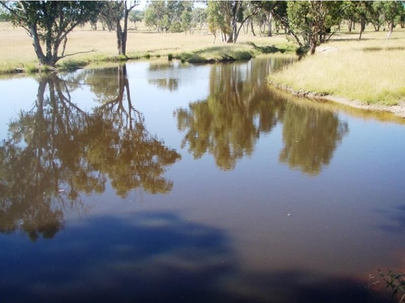 Gum Flat NSW 2360