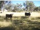 Gum Flat NSW 2360