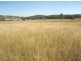 Gum Flat NSW 2360