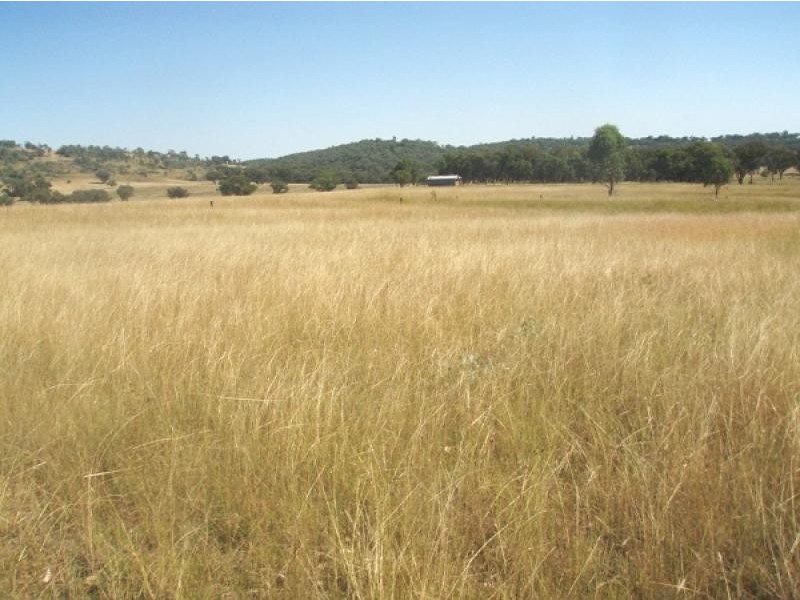 Gum Flat NSW 2360