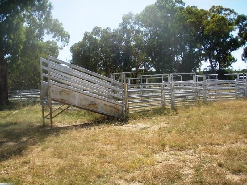Gum Flat NSW 2360