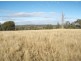 Gum Flat NSW 2360