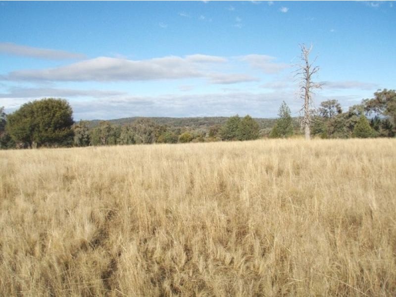 Gum Flat NSW 2360