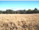 Gum Flat NSW 2360