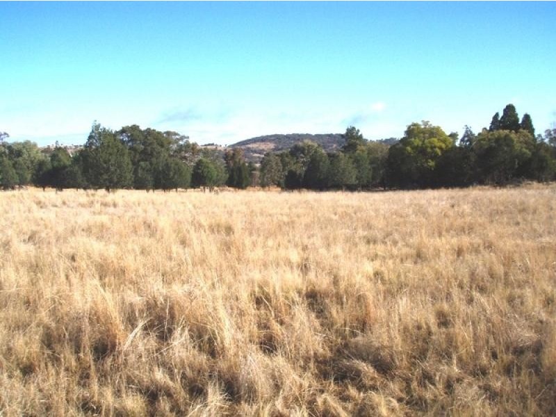 Gum Flat NSW 2360