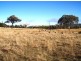 Gum Flat NSW 2360