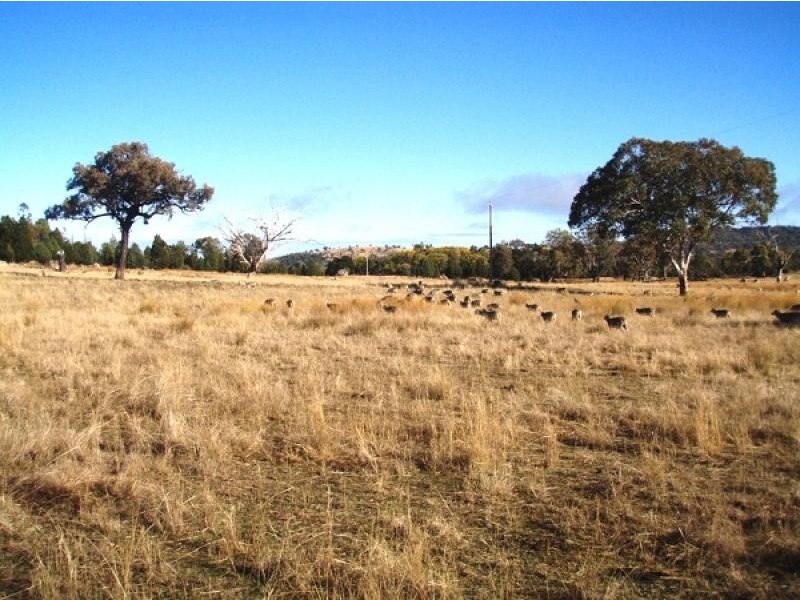 Gum Flat NSW 2360