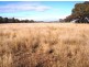 Gum Flat NSW 2360