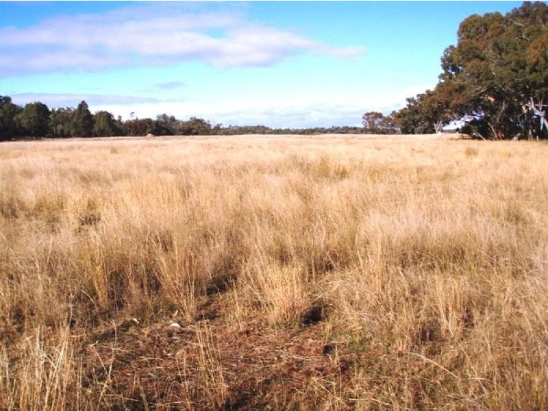 Gum Flat NSW 2360