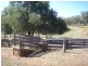 Bingara NSW 2404