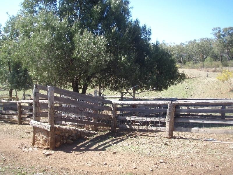 Bingara NSW 2404