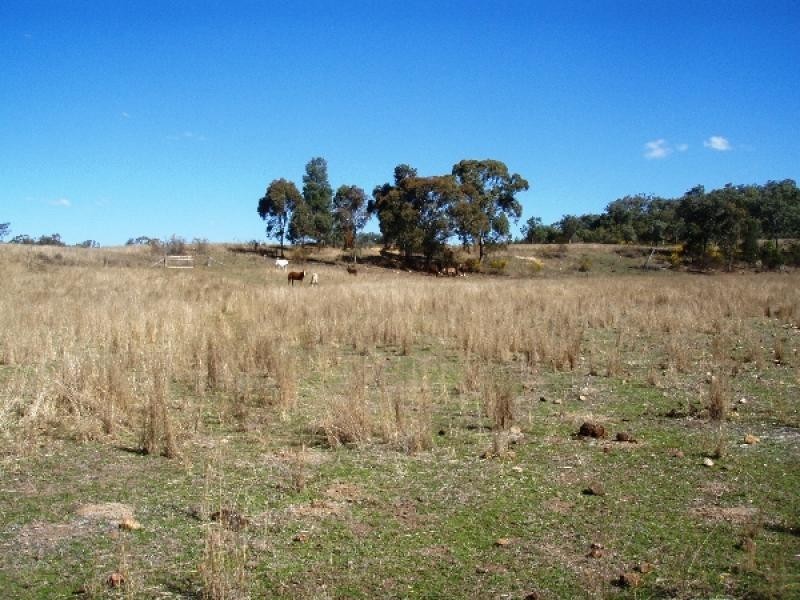 Bingara NSW 2404