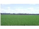 Texas QLD 4385
