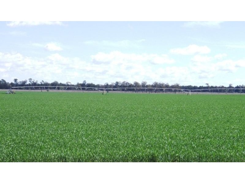 Texas QLD 4385