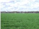 Texas QLD 4385