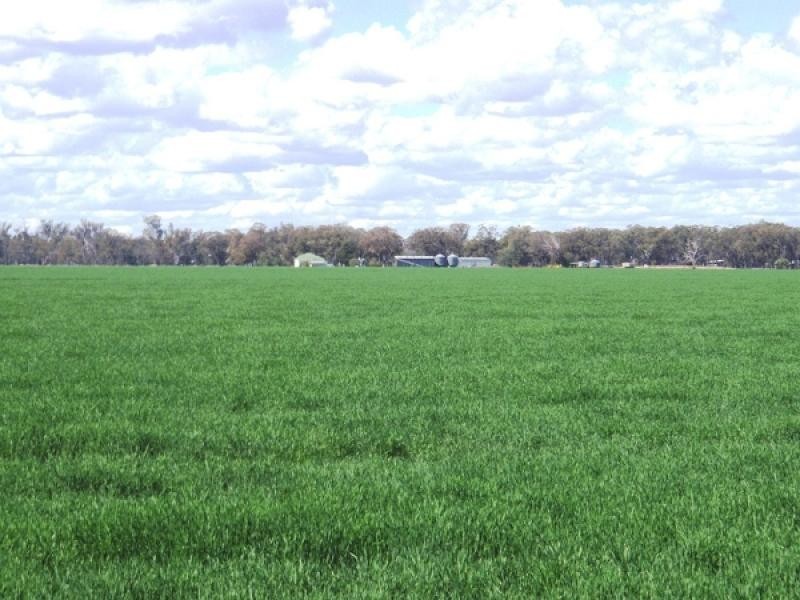 Texas QLD 4385