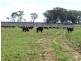 Texas QLD 4385