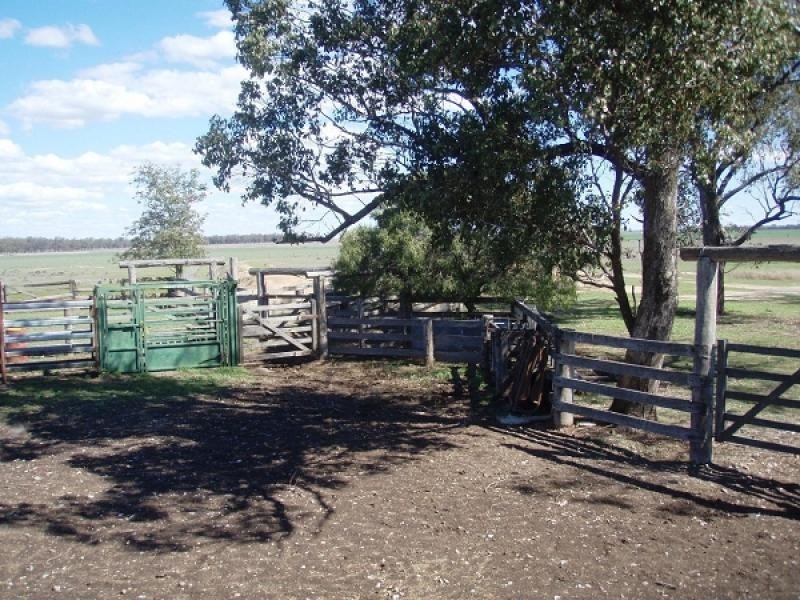 Texas QLD 4385