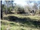 Texas QLD 4385