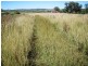 Gragin NSW 2403