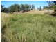 Gragin NSW 2403