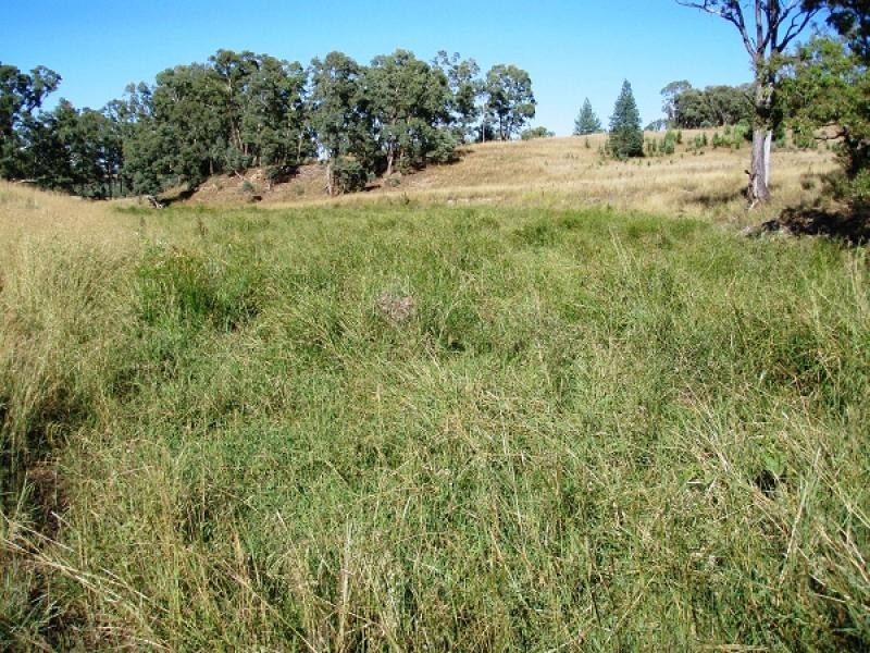 Gragin NSW 2403
