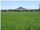 Gragin NSW 2403