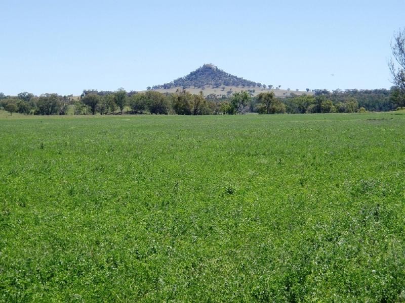 Gragin NSW 2403