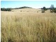 Gragin NSW 2403