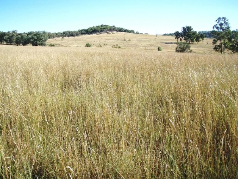 Gragin NSW 2403