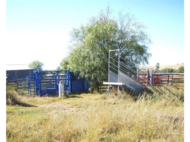 Gragin NSW 2403