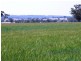 Graman NSW 2360