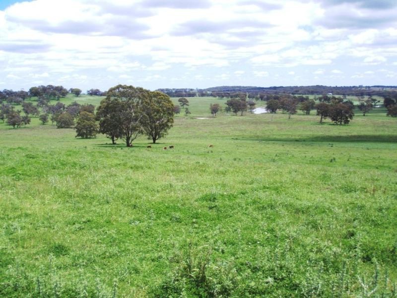 Kings Plains NSW 2360