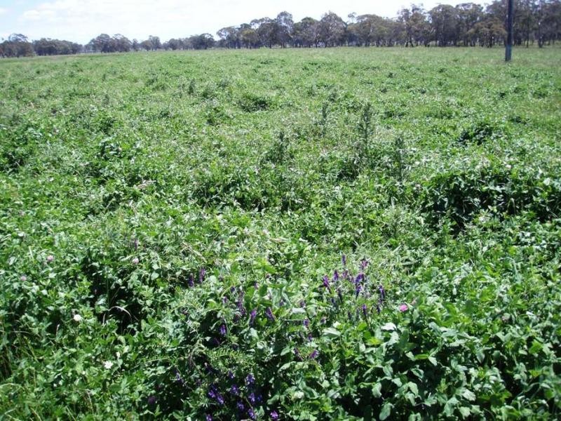 Kings Plains NSW 2360