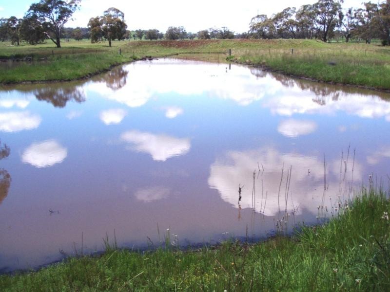 Kings Plains NSW 2360