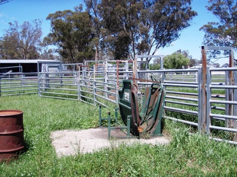 Kings Plains NSW 2360