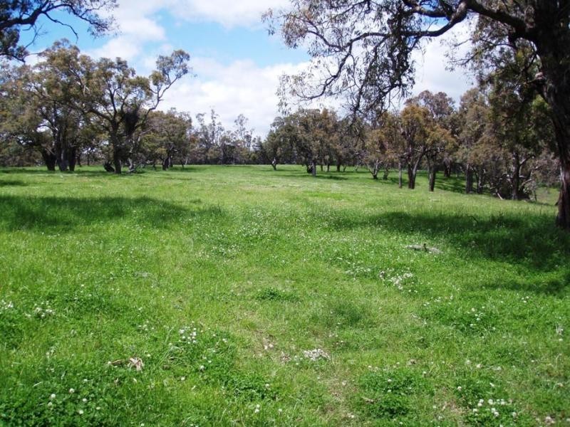 Kings Plains NSW 2360