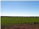 Nyngan NSW 2825
