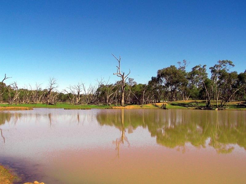 Nyngan NSW 2825