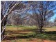 Nyngan NSW 2825