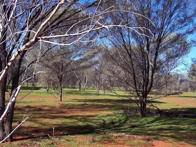 Nyngan NSW 2825