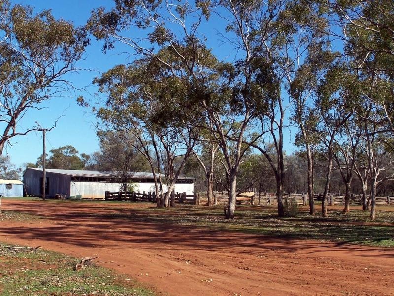 Nyngan NSW 2825