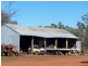 Nyngan NSW 2825