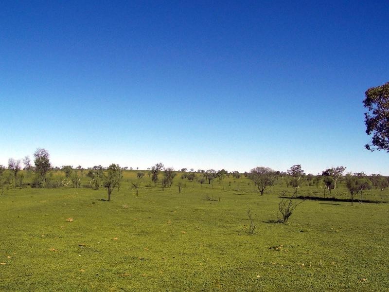 Nyngan NSW 2825