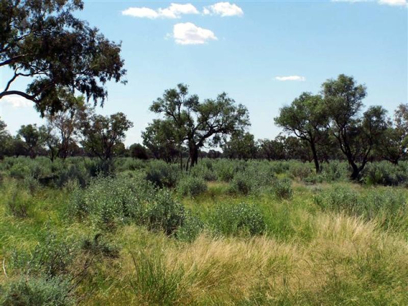 Brewarrina NSW 2839