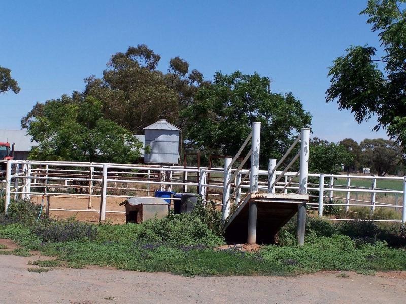 Lot 4 Hoskins Street, Nyngan NSW 2825