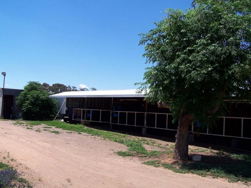 Lot 4 Hoskins Street, Nyngan NSW 2825