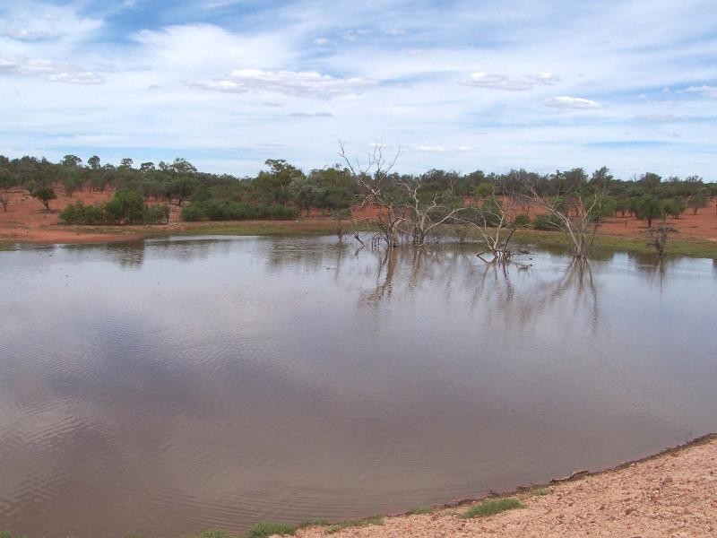 56 kilometres west of Cobar on Barrier Highway., Cobar NSW 2835